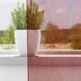Gauze curtains with pockets for rods 2 pcs. wine red by , Curtains and curtains - Ref: Foro24-4102247, Price: 13,08 €, Discou...
