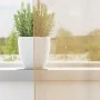 Gauze curtains with 2 sand-colored tab tops, 140x245 cm. by , Curtains and curtains - Ref: Foro24-4102309, Price: 14,92 €, Di...