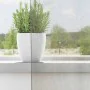 Gauze curtains with 2 light gray tab tops, 140x260 cm. by , Curtains and curtains - Ref: Foro24-4102300, Price: 15,26 €, Disc...
