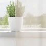 Cortinas de gasa con trabillas 2 uds. crema de , Cortinas y visillos - Ref: Foro24-4102266, Precio: 17,64 €, Descuento: %