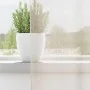 Gauze curtains with 2 cream-colored tabs. by , Curtains and curtains - Ref: Foro24-4102266, Price: 17,64 €, Discount: %