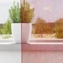 Gauze curtains with 2 wine red tab tops, 140x260 cm. by , Curtains and curtains - Ref: Foro24-4102340, Price: 15,26 €, Discou...