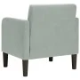 Sillón con reposabrazos Terciopelo Gris Claro 54 cm von , Sessel - Ref: Foro24-4100578, Preis: 111,89 €, Rabatt: %