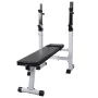Banco ejercicios con soporte pesas, pesas y mancuernas 120 kg de , Máquinas de levantamiento de pesas - Ref: Foro24-275375, P...