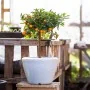 Capi Conical-shaped Arc Granite Ivory Planter 48x35 cm by , Pots and planters - Ref: Foro24-442108, Price: 84,69 €, Discount: %