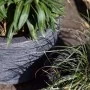 Capi Macetero bajo elegante Waste Rib gris 34x46 cm de , Maceteros y jardineras - Ref: Foro24-442101, Precio: 69,07 €, Descue...