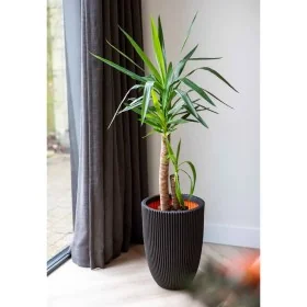 Capi Elegant Groove black vase 34x46 cm by , Pots and planters - Ref: Foro24-445496, Price: 75,10 €, Discount: %