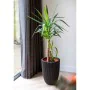 Capi Elegante Groove Blumenvase schwarz 34x46 cm von , Töpfe und Pflanzgefäße - Ref: Foro24-445496, Preis: 75,10 €, Rabatt: %