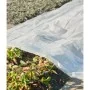 Natur Pflanzenschutzfolie transparent 4x6 m 100µ von , Gartenzubehör - Ref: Foro24-446379, Preis: 30,73 €, Rabatt: %