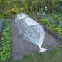 Natur Pflanzenschutzfolie transparent 4x6 m 100µ von , Gartenzubehör - Ref: Foro24-446379, Preis: 30,73 €, Rabatt: %