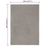 Rechteckiger Teppich aus grauer Baumwolle, 200x300 cm. von , Teppiche - Ref: Foro24-345124, Preis: 163,58 €, Rabatt: %