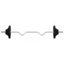 Barbell set with 30 kg cast iron and chrome-plated steel discs. by , free weight - Ref: Foro24-93629, Price: 120,56 €, Discou...