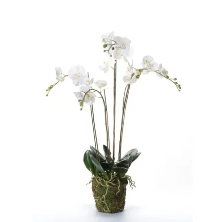 Emerald Artificial white orchid with moss 90 cm $20.355 by , artificial flora - Ref: Foro24-414484, Price: 134,54 €, Discount: %