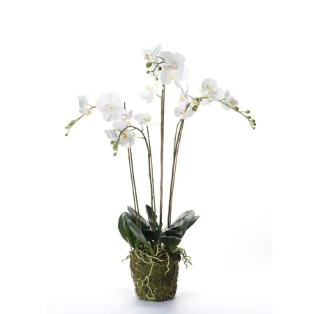 Smaragd Künstliche Orchidee mit weißem Moos 90 cm 20.355 von , Künstliche Flora - Ref: Foro24-414484, Preis: 134,54 €, Rabatt: %