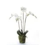 Emerald Artificial white orchid with moss 90 cm $20.355 by , artificial flora - Ref: Foro24-414484, Price: 134,54 €, Discount: %
