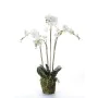 Smaragd Künstliche Orchidee mit weißem Moos 90 cm 20.355 von , Künstliche Flora - Ref: Foro24-414484, Preis: 134,54 €, Rabatt: %