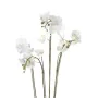Smaragd Künstliche Orchidee mit weißem Moos 90 cm 20.355 von , Künstliche Flora - Ref: Foro24-414484, Preis: 134,54 €, Rabatt: %