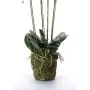 Emerald Artificial white orchid with moss 90 cm $20.355 by , artificial flora - Ref: Foro24-414484, Price: 134,54 €, Discount: %