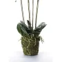 Smaragd Künstliche Orchidee mit weißem Moos 90 cm 20.355 von , Künstliche Flora - Ref: Foro24-414484, Preis: 134,54 €, Rabatt: %