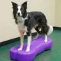 FitPAWS Balanceplattform für Haustiere Giant K9FITbone aus lila PVC von , Trainingsgeräte für Haustiere - Ref: Foro24-428431,...