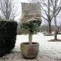 Nature Funda cubre plantas anti-heladas jute natural 230 g/m² 0,75x1 m de , Accesorios de jardinería - Ref: Foro24-434645, Pr...