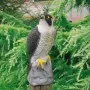 Ubbink Tierfigur Falke 40 cm von , Rasenschmuck und Gartenskulpturen - Ref: Foro24-423539, Preis: 39,65 €, Rabatt: %