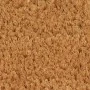 Kokosfasermatte 90x150 cm von , Fußmatten - Ref: Foro24-155606, Preis: 84,77 €, Rabatt: %