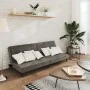 Sofá cama de 2 plazas terciopelo gris oscuro by , Sofas - Ref: Foro24-375733, Price: 235,55 €, Discount: %
