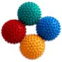 FitPAWS Accesorios de equilibrio para patas de mascotas 4 unidades von , Trainingsgeräte für Haustiere - Ref: Foro24-433835, ...