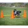 FitPAWS Juego de obstáculos by , Pet Exercise Equipment - Ref: Foro24-433823, Price: 191,46 €, Discount: %