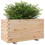 Pflanzkübel aus massivem Kiefernholz 90x40x49,5 cm von , Töpfe und Pflanzgefäße - Ref: Foro24-3282554, Preis: 145,01 €, Rabat...