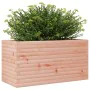 Douglasie Pflanzgefäß aus Massivholz 90x40x46 cm von , Töpfe und Pflanzgefäße - Ref: Foro24-3282447, Preis: 133,58 €, Rabatt: %