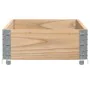 Pflanzgefäß aus massivem Kiefernholz 100x50 cm von , Töpfe und Pflanzgefäße - Ref: Foro24-3295387, Preis: 43,41 €, Rabatt: %