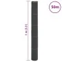 Membrana para malezas PP negra 1x50 m von , Anti-Unkraut-Netze - Ref: Foro24-4005216, Preis: 48,61 €, Rabatt: %