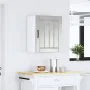 Armario de pared cocina Lucca madera contrachapada gris cemento by , Kitchen cabinets - Ref: Foro24-853805, Price: 56,59 €, D...