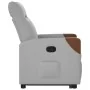 Sillón reclinable elevable de tela gris nube de , Sillones - Ref: Foro24-3324005, Precio: 271,97 €, Descuento: %