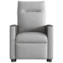 Sillón reclinable elevable de tela gris nube by , Armchairs - Ref: Foro24-3324051, Price: 274,84 €, Discount: %