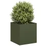 Jardinera de acero laminado en frío verde oliva 40x40x40 cm von , Töpfe und Pflanzgefäße - Ref: Foro24-860664, Preis: 50,82 €...