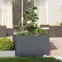 Jardinera acero gris antracita 120x80x80 cm de , Maceteros y jardineras - Ref: Foro24-860789, Precio: 157,48 €, Descuento: %