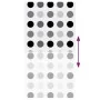 Estor enrollable para ducha tela 130x240 cm ancho 126 cm by , Blinds and blinds - Ref: Foro24-4014839, Price: 16,24 €, Discou...