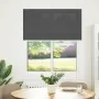 Estor Plisado negro 105x100 cm Tela Ancho 104,4 cm Poliéster by , Blinds and blinds - Ref: Foro24-4015127, Price: 18,44 €, Di...