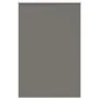 Estor Enrollable Opaco gris 160x230 cm Tela Ancho 156,6 cm by , Blinds and blinds - Ref: Foro24-4011218, Price: 34,59 €, Disc...
