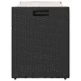 Banco de almacenaje con cojín ratán sintético negro 100 cm de , Bancos de jardín - Ref: Foro24-4104060, Precio: 141,17 €, Des...