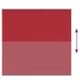 Estor Enrollable Opaco Rojo 155x130 cm Tela Ancho 151,6 cm by , Blinds and blinds - Ref: Foro24-4011763, Price: 28,47 €, Disc...