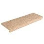 Alfombrilla escalera 30 uds 65x21x4 cm doradas de , Alfombrillas para escalones - Ref: Foro24-3365834, Precio: 149,42 €, Desc...