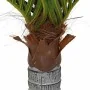 Palmera artificial con 6 hojas verde 100 cm by , artificial flora - Ref: Foro24-4103575, Price: 59,70 €, Discount: %