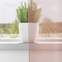 Cortinas de gasa con ojales 2 uds rosa 140x225 cm de , Cortinas y visillos - Ref: Foro24-4102097, Precio: 14,79 €, Descuento: %