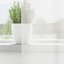 Cortinas de gasa con bolsillos para varillas 2 uds. blanco by , Curtains and curtains - Ref: Foro24-4102242, Price: 13,08 €, ...
