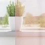 Cortinas de gasa con trabillas 2 uds rosa claro 140x260 cm by , Curtains and curtains - Ref: Foro24-4102280, Price: 15,26 €, ...