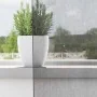 Cortinas de gasa con trabillas 2 uds gris oscuro 140x260 cm de , Cortinas y visillos - Ref: Foro24-4102275, Precio: 15,26 €, ...